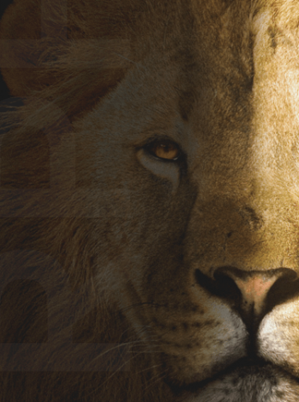 Imposto-de-renda_vertical